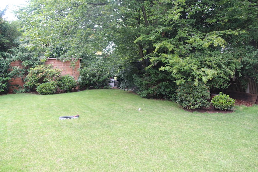 Die urspr&uuml;nglich vorhandene Bepflanzung wurde durch Rhododendren verschiedener Gr&ouml;sse erg&auml;nzt und damit verdichtet.  Der Garten erh&auml;lt einen gr&uuml;nen Rahmen. (M&uuml;nchen - Solln)