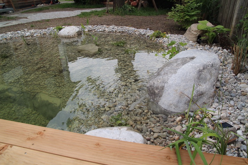 Laubwerk Gartengestaltung Galerie Freising (München)