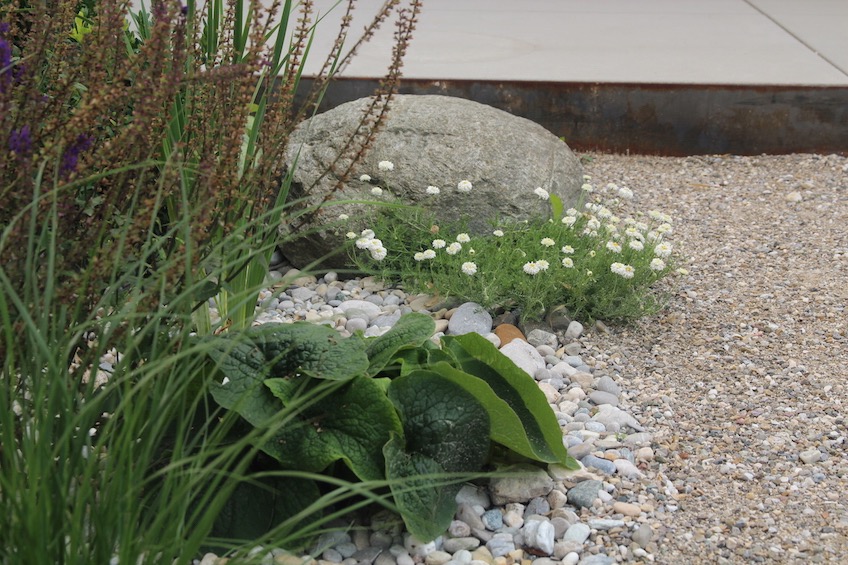 Befestigung mit Mineralbeton, die sich in Kiesbeeten verl&auml;uft. Bepflanzung mit R&ouml;merkamille, Vergissmeinnicht, Ziersalbei und Gr&auml;sern. (Freising)