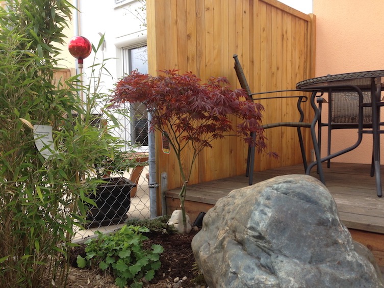 Das kleine Holzdeck am Haus wird von einem roten Fächerahorn, Bambus und einem Quellstein begleitet. (Poing bei München)
